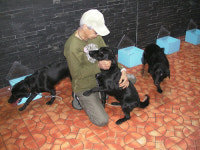 알앤엘바이오, 세계 최대 개복제 연구소 설립