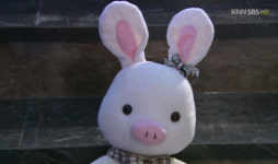 ‘미남이시네요’ 돼지토끼 관심집중…‘김삼순’ 돼지인형 인기 이을까