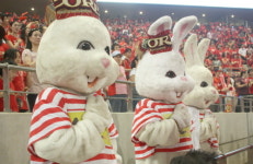 산들애 캐릭터 산들이도 월드컵 응원 나서