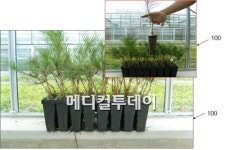 진주산업대팀, 용기묘 접목생산법 개발