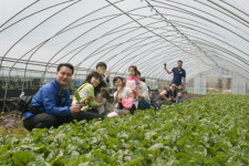 채선당, 고객초청 친환경 야채농장 체험행사 실시