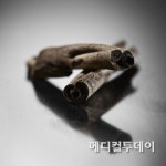 계피 추출물 알즈하이머치매 예방