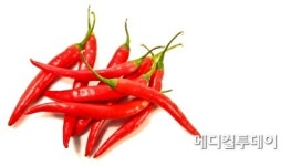 고추 속 성분 비알레르기성비염 증상 개선 효과적