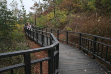 양천구 신정산 무장애숲길 1023m 개통