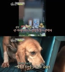 동물농장 실험동물, 인간 위한 안타까운 희생 조명