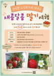 스킨푸드와 떠나는 새콤달콤 딸기 여행