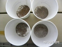 [good 탐구생활] 커피 한 잔으로 누리는 삶의 여유