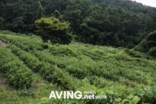 전남 영광에서 찾은 맛집 모영각