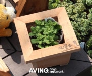 허브향의 봄내음 물씬! 허브 축제 열려