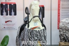 대원포티스, 전신운동 승마운동기구 포티스 선보여