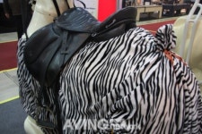 대원포티스, 전신운동 승마운동기구 포티스 선보여