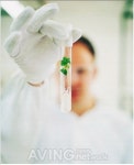 [미리보는 COPHEX 2011] 우정비에스씨, Bio-Pharma Business 소개할 예정