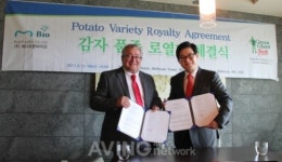 한국 토종감자 품종, 미국 공급 로열티 계약 체결
