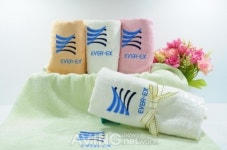 [PIS 2011] 케이피엠테크, 항바이러스 항균 제품 EVER-EX TOWEL과 EVER-EX 행주
