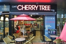 판교 테크노밸리의 스페셜티 커피전문점들