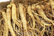 [Natural Week 2014 영상] 덕인농장, 친환경 유기농 재배 인삼 안심하고 드세요