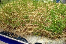 [ECO-EXPO 2014 영상] 호정산업, PLA황마 식생매트 선보여