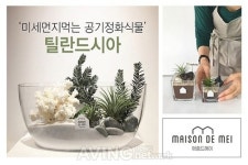 [미리보는 메가쇼 2016 시즌1] 리유디자인그룹, 미세먼지 먹는 식물로 유명한 틸란드시아 테라리움 전문 브랜드 메종드메이 선보일 예정