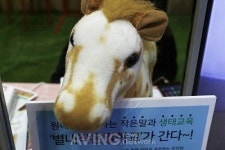 [38회 유교전 키즈페어] 자신감 향상과 신체 발달 별내작은말학교 승마교실
