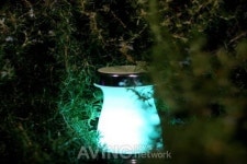 [CES 2020] 정안헬스케어, Color Therating Happy Light 라인 소개 예정