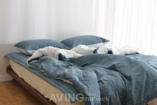 하비앤데코, 2022 대한민국 꿀잠페스타서 먼지 날림 최소화한 고밀도 침구류 선보인다