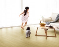 사람도 반려동물도 만족하는 펫테리어 한솔 펫마루