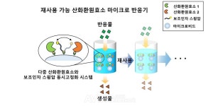 지스트, 설탕으로 값비싼 약물 전환 고부가가치 친환경 촉매 개발!… 보조인자 추가 소모 없이 오래 사용할 수 있어!
