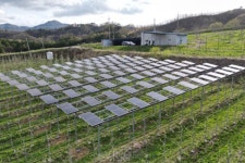 무주 사과 과수원에 영농형 태양광 설치됐다… 모든솔라 SSP 시스템으로 최적화된 생육 환경 조성!