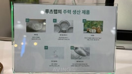 루츠랩, AFRO 2023서 미세 플라스틱 대체 천연소재 석세포 소개 나서... 배 소각 폐기물에서 추출해