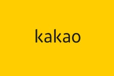 [Pangyo Tech] 카카오, APEC 2025 KOREA 글로벌 디지털·AI 포럼 기업 전시 참여해 자체 개발 AI 모델 시연 및 체험공간 선보여