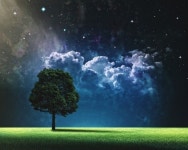 [4씨남정기-1] 4차 산업의 문 반대 방향으로 뛰었다