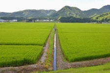 [4씨남정기-3] 산골짝 장마 대비, 배수로 작업