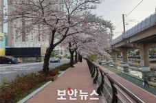 부산 금정구, 교통안전지수 5년새 7계단 껑충