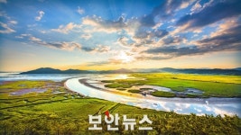 AI 시대, 날것 그대로의 아날로그 순천만을 디지털 기술로 관리한다
