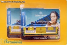 지스킬로 거듭나다! 디직스 DDR2 1GB PC5300 골드 패키지