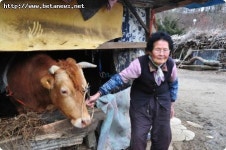워낭소리로 고통 받는 노부부의 자식들, 왜?