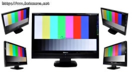 HDTV? 모니터? 나 하나면 족해! 알파스캔 팜므 P2400HDT