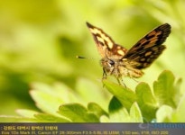 박초월의 사진이야기(2), 시선을 끄는 사진촬영기법 10가지