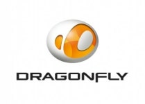 드래곤플라이, 2013년 공개채용 실시