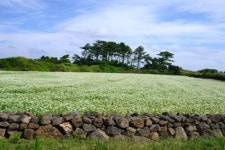 추석 추천 여행지, 제주 김녕 월정 지오트레일
