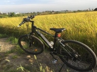 가을 정취 즐길 수 있는 서울 내 자전거 코스