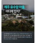 [카드뉴스] 겨울을 느끼고 싶다면... 제주 유수암 마을 추천!
