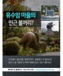 [카드뉴스] 겨울을 느끼고 싶다면... 제주 유수암 마을 추천!