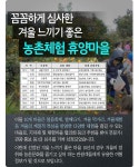[카드뉴스] 겨울을 느끼고 싶다면... 제주 유수암 마을 추천!