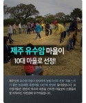 [카드뉴스] 겨울을 느끼고 싶다면... 제주 유수암 마을 추천!