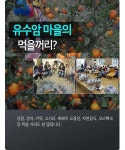 [카드뉴스] 겨울을 느끼고 싶다면... 제주 유수암 마을 추천!