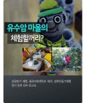 [카드뉴스] 겨울을 느끼고 싶다면... 제주 유수암 마을 추천!