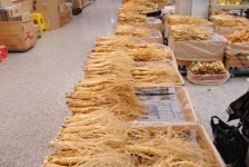 2016 경북 영주 풍기인삼축제 개최...인삼 본고장의 자존심