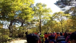 지리산 회남재 숲길 걸으며 가을정취 느껴요