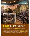 [카드뉴스] 화해와 상생의 길, 제주 4·3길